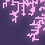 cqql